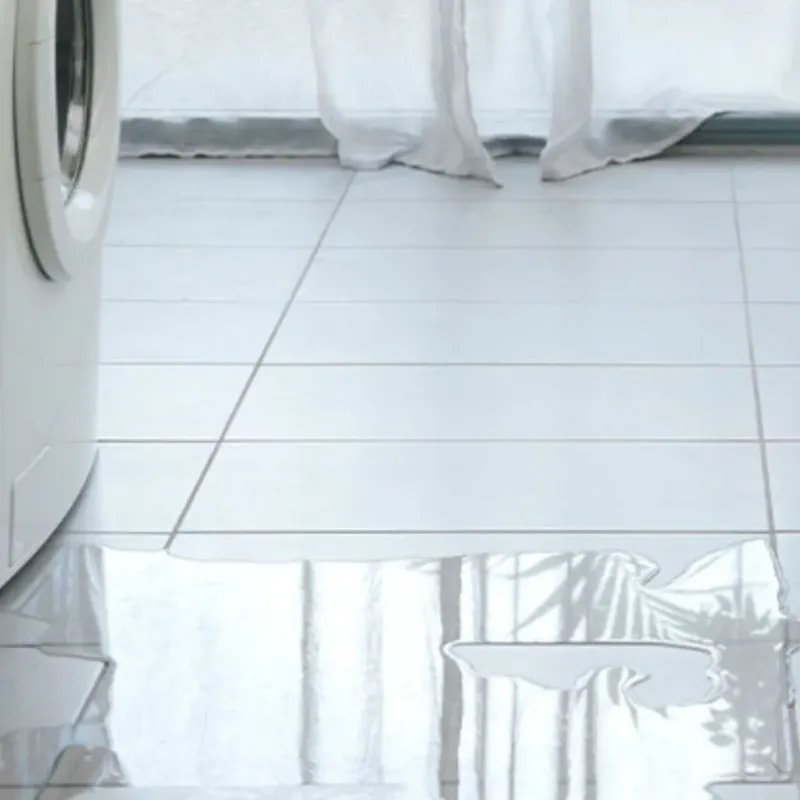 Appliance Leak Cleanup in Wardsville, MO