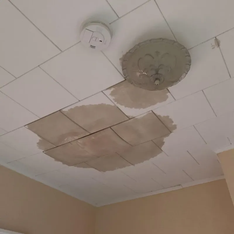 Ceiling Water Damage Repair in Wardsville, MO