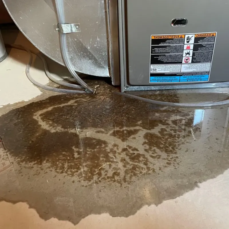 Pipe Burst and Leak Restoration in Wardsville, MO