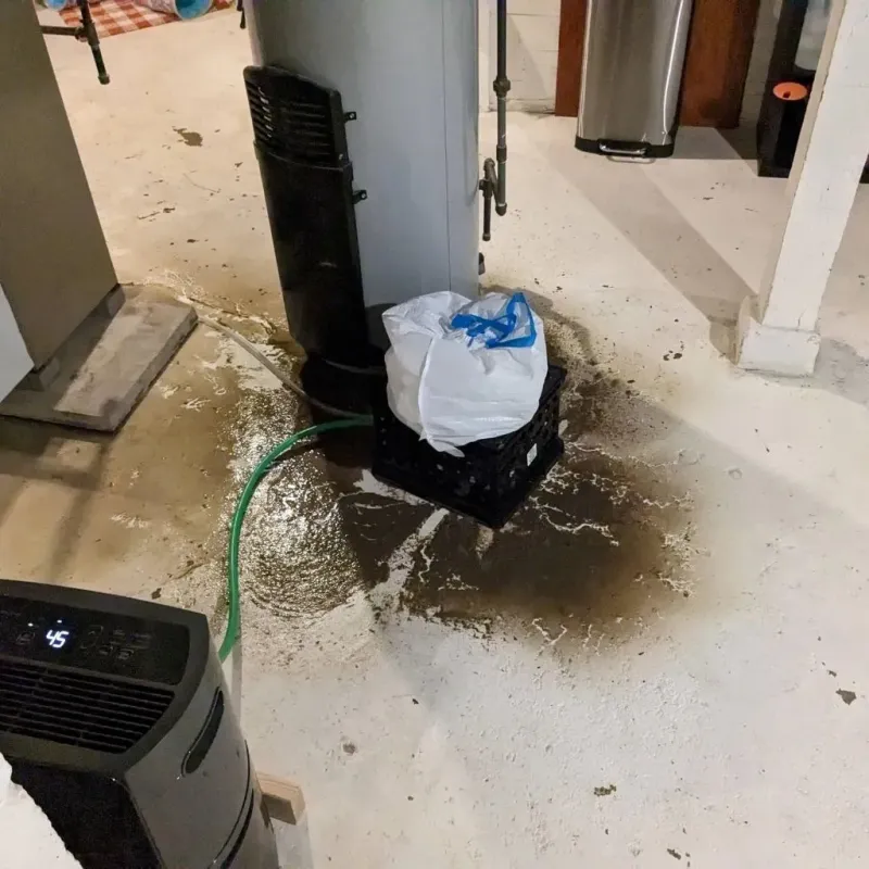 Sewage Backup Cleanup Service in Wardsville, MO